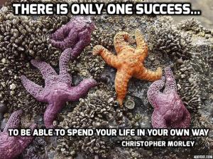 Dec13Quote
